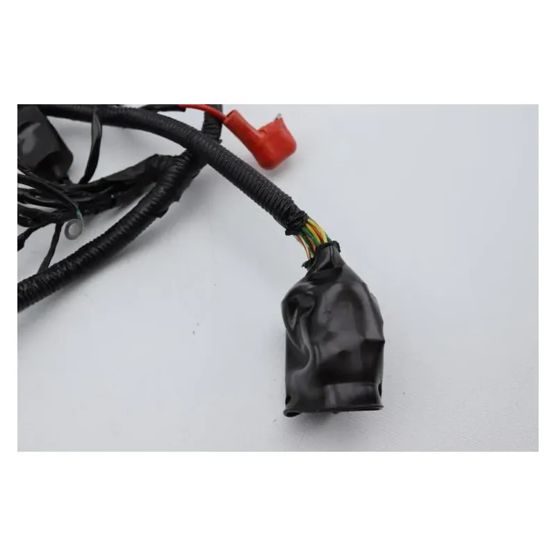 Faisceau electrique EUROCKA GTR 50 2011 - 2014