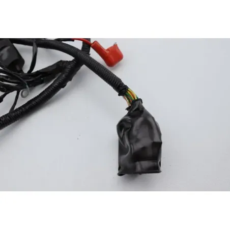 Faisceau electrique EUROCKA GTR 50 2011 - 2014
