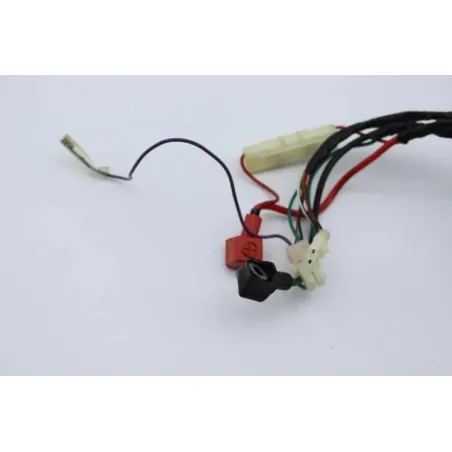 Faisceau electrique EUROCKA GTR 50 2011 - 2014