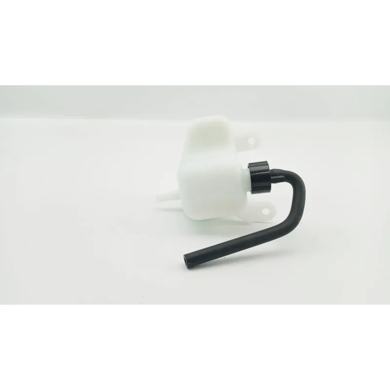 Vase expansion HYOSUNG BOBBER 125 2024 - 2025