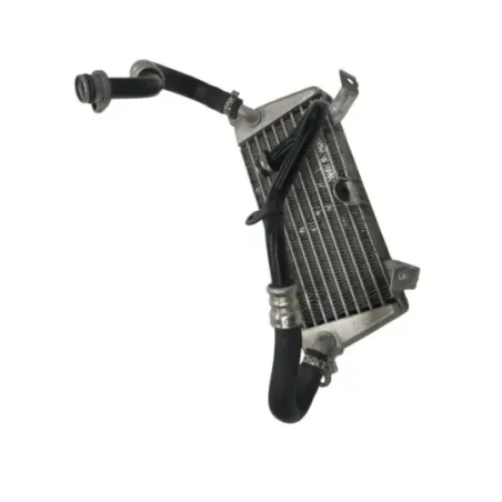Radiateur huile BMW S 1000 RR 2019-2022