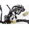 Faisceau electrique HONDA XLV 125 VARADERO 2001 - 2006 Faisceau electrique HONDA XLV 125 VARADERO 2001 - 2006