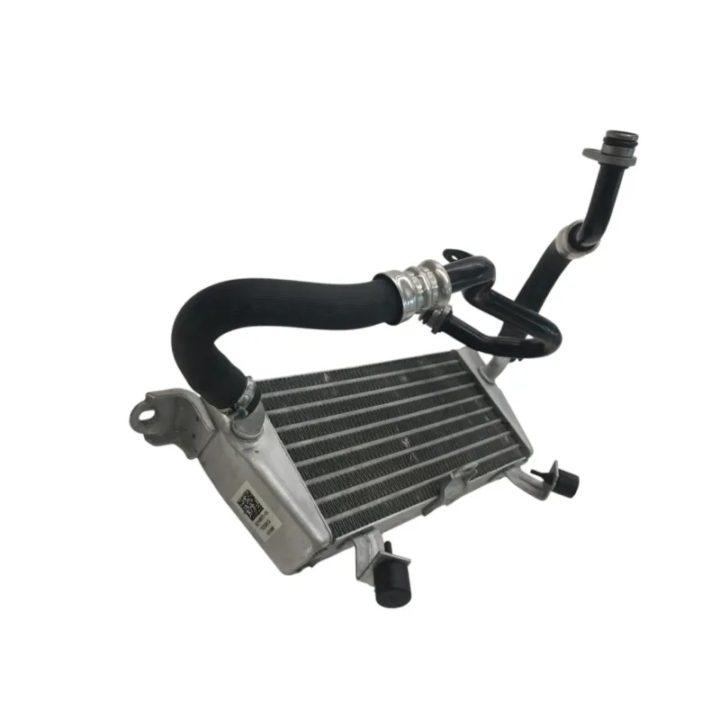 Radiateur huile BMW S 1000 RR 2019-2022