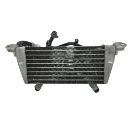 Radiateur huile BMW S 1000 RR 2019-2022