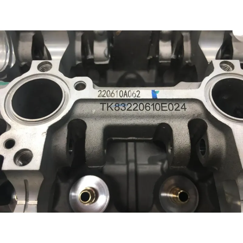 Culasse BMW F 900 R 2020-2024