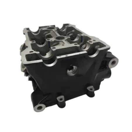 Culasse BMW F 900 R 2020-2024