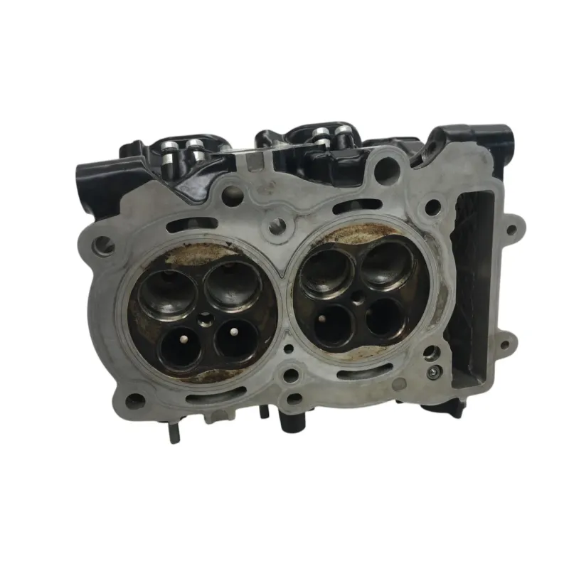 Culasse BMW F 900 R 2020-2024
