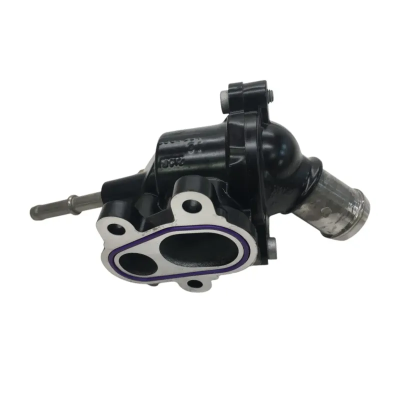 Calorstat BMW F 900 R 2020-2024