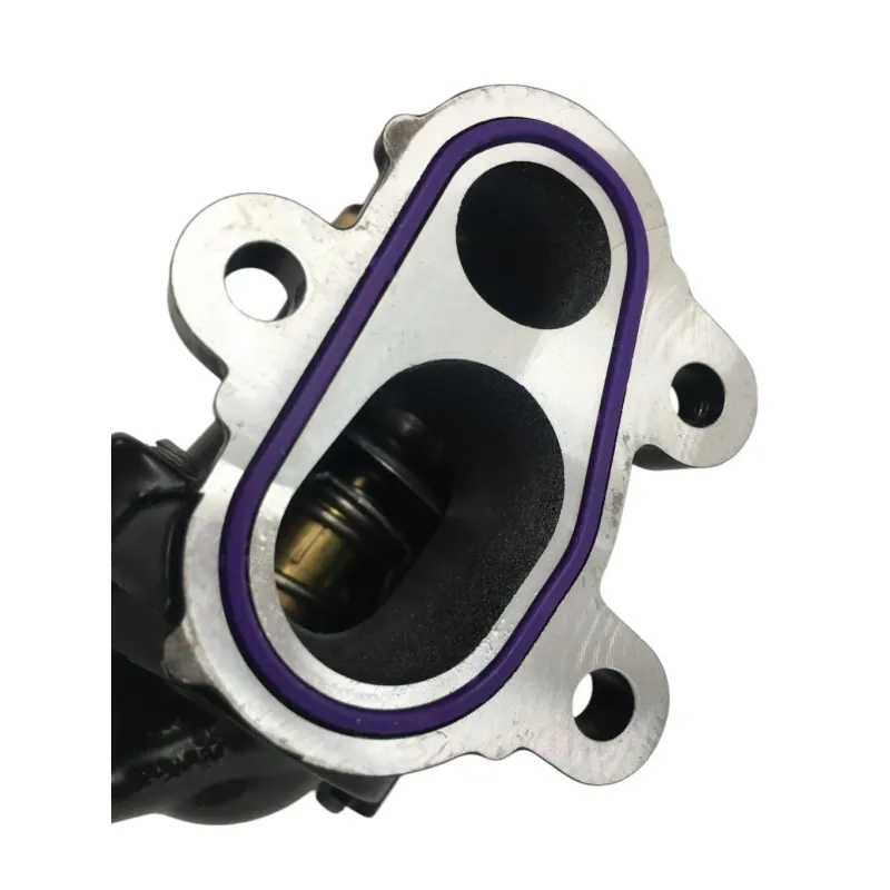 Calorstat BMW F 900 R 2020-2024