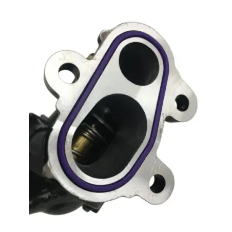 Calorstat BMW F 900 R 2020-2024