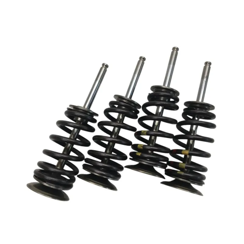Soupapes BMW F 900 R 2020-2024