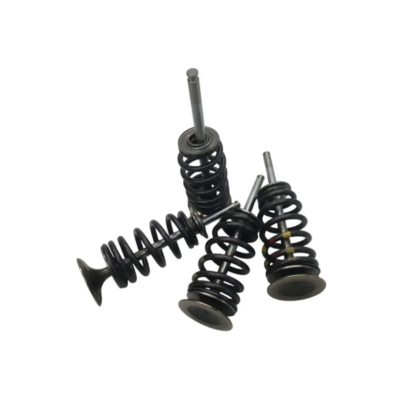 Soupapes BMW F 900 R 2020-2024