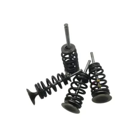 Soupapes BMW F 900 R 2020-2024