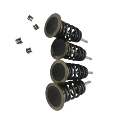 Soupapes BMW F 900 R 2020-2024