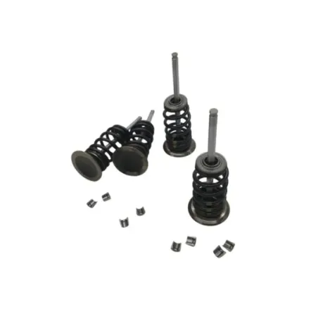 Soupapes BMW F 900 R 2020-2024