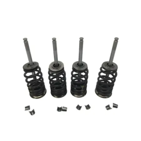 Soupapes BMW F 900 R 2020-2024