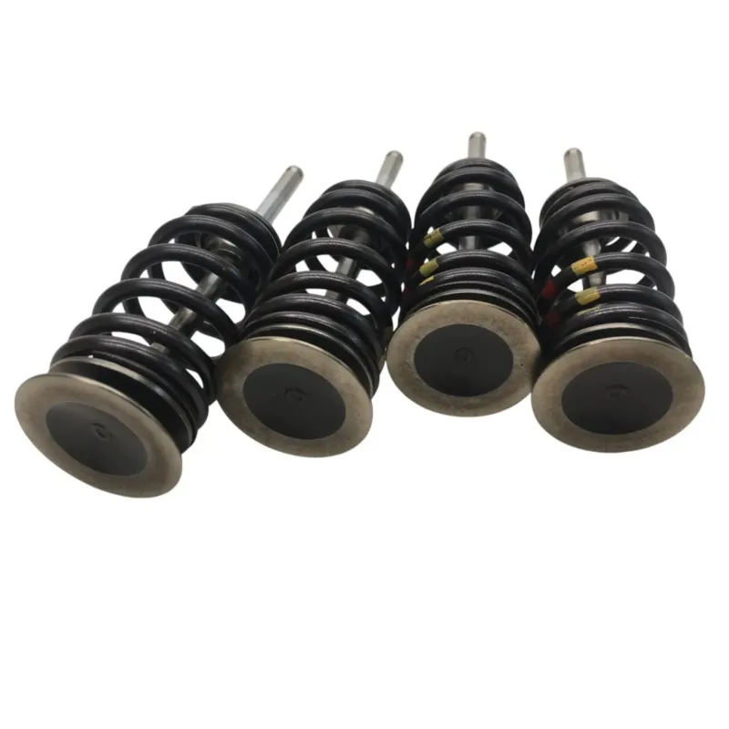 Soupapes BMW F 900 R 2020-2024