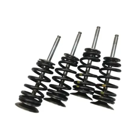Soupapes BMW F 900 R 2020-2024