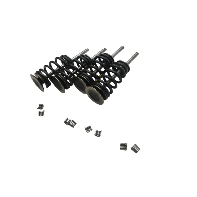 Soupapes BMW F 900 R 2020-2024