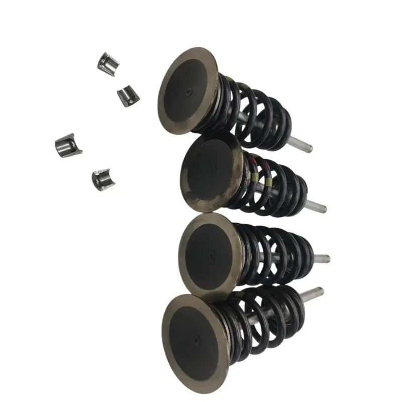 Soupapes BMW F 900 R 2020-2024