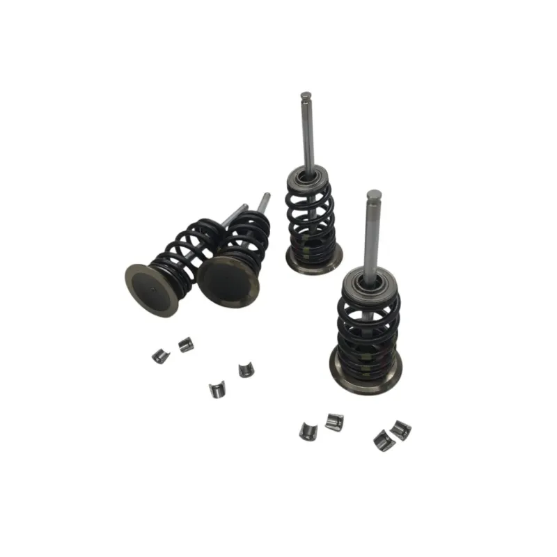 Soupapes BMW F 900 R 2020-2024