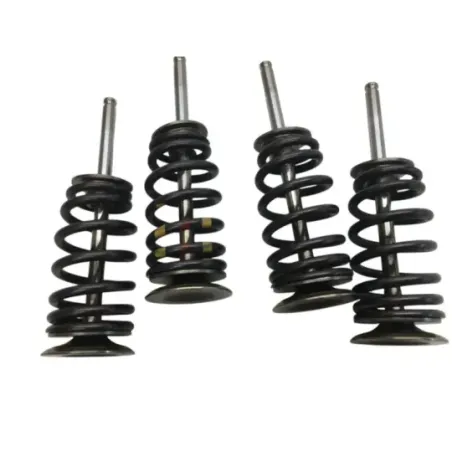 Soupapes BMW F 900 R 2020-2024