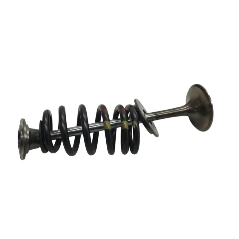 Soupapes BMW F 900 R 2020-2024