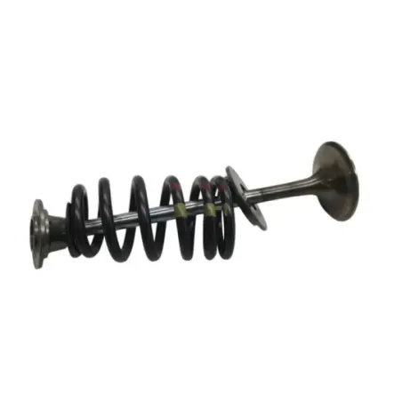 Soupapes BMW F 900 R 2020-2024