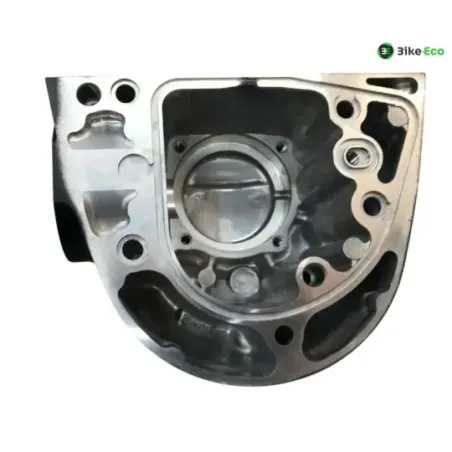 Carter moteur droit KAWASAKI W 800 2011-2016 EJ