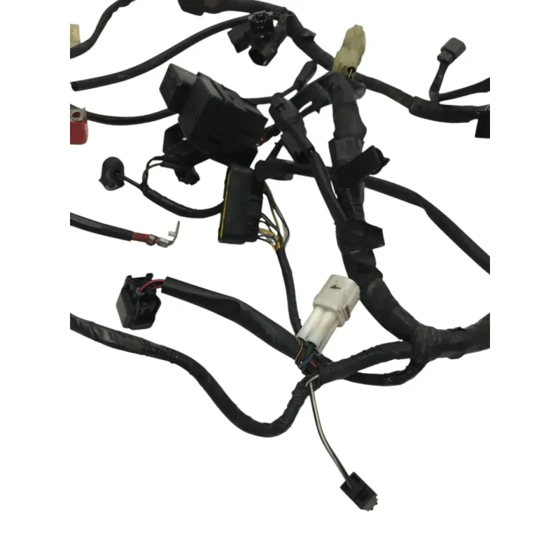 Faisceau electrique SUZUKI GSF 650 2005-2006 BANDIT S