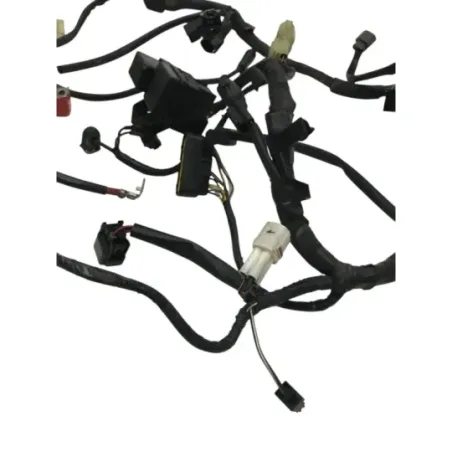 Faisceau electrique SUZUKI GSF 650 2005-2006 BANDIT S