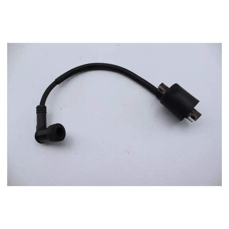 Bobine allumage YAMAHA SLIDER 50 EW 2000 - 2002
