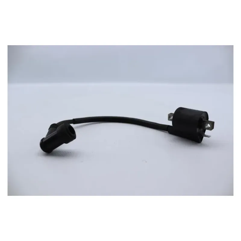 Bobine allumage YAMAHA SLIDER 50 EW 2000 - 2002