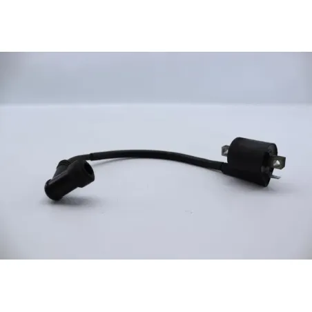 Bobine allumage YAMAHA SLIDER 50 EW 2000 - 2002