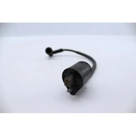 Bobine allumage YAMAHA SLIDER 50 EW 2000 - 2002