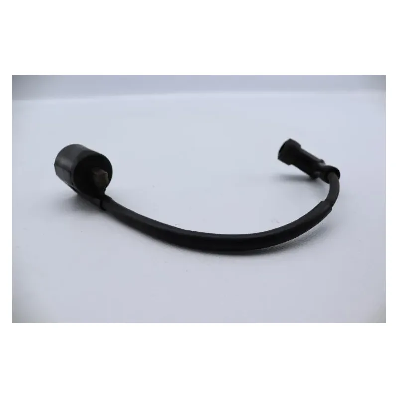 Bobine allumage YAMAHA SLIDER 50 EW 2000 - 2002
