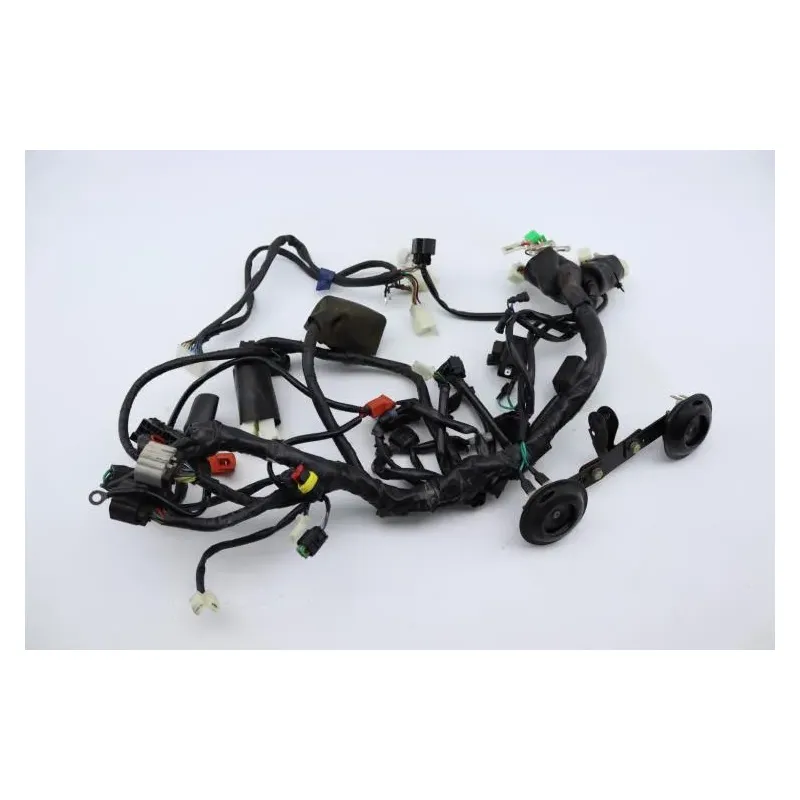 Faisceau electrique ARCHIVE MOTORCYCLE SCRAMBLER 250 ABS 2020 - 2022