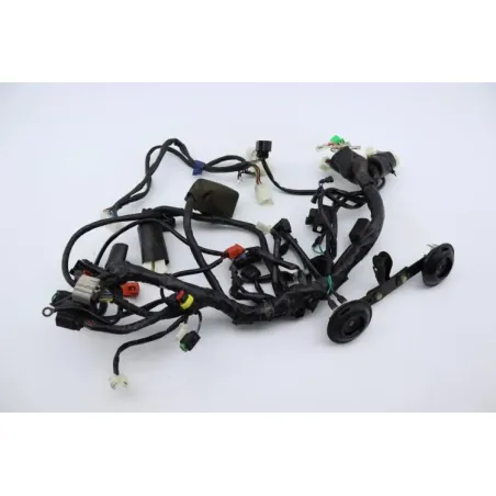 Faisceau electrique ARCHIVE MOTORCYCLE SCRAMBLER 250 ABS 2020 - 2022