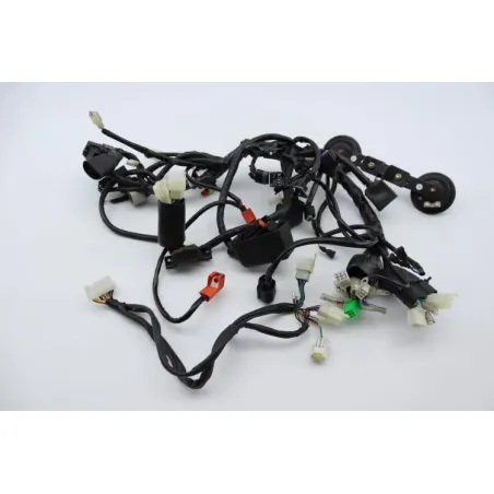 Faisceau electrique ARCHIVE MOTORCYCLE SCRAMBLER 250 ABS 2020 - 2022