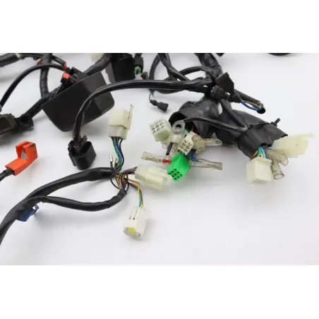 Faisceau electrique ARCHIVE MOTORCYCLE SCRAMBLER 250 ABS 2020 - 2022
