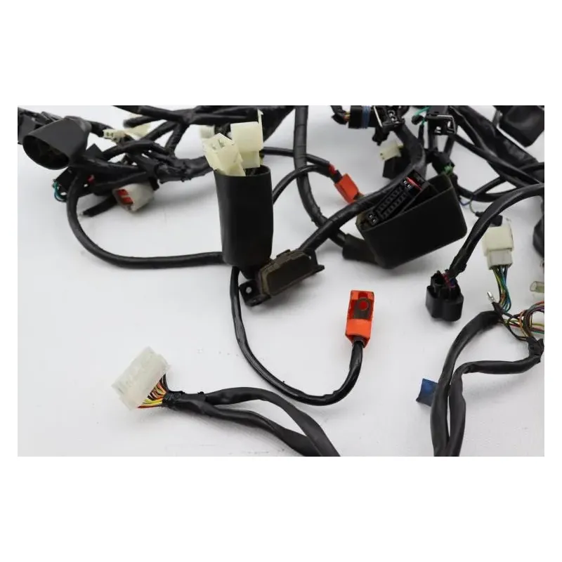 Faisceau electrique ARCHIVE MOTORCYCLE SCRAMBLER 250 ABS 2020 - 2022