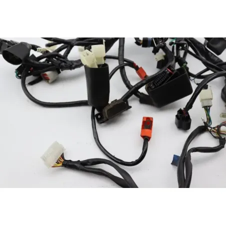 Faisceau electrique ARCHIVE MOTORCYCLE SCRAMBLER 250 ABS 2020 - 2022