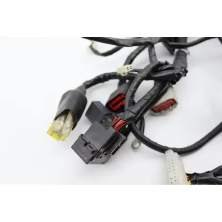 Faisceau electrique ARCHIVE MOTORCYCLE SCRAMBLER 250 ABS 2020 - 2022