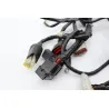 Faisceau electrique ARCHIVE MOTORCYCLE SCRAMBLER 250 ABS 2020 - 2022