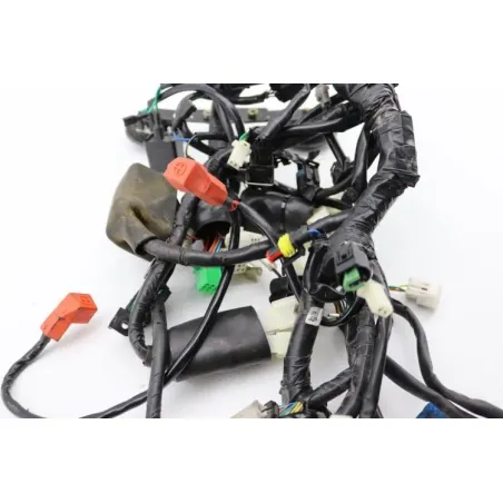Faisceau electrique ARCHIVE MOTORCYCLE SCRAMBLER 250 ABS 2020 - 2022