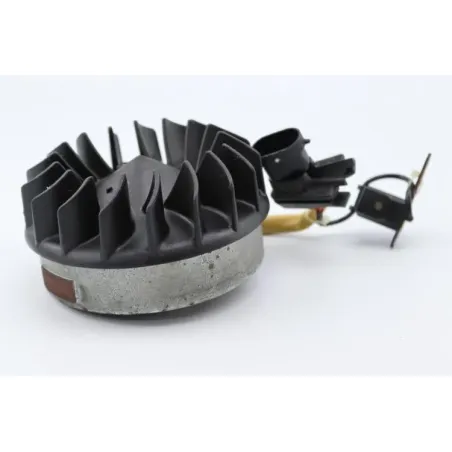 Rotor volant moteur PIAGGIO ZIP 50 2008 - 2012