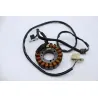 Stator alternateur YAMAHA XP 500 TMAX ABS 2008 - 2011 Stator alternateur YAMAHA XP 500 TMAX ABS 2008 - 2011