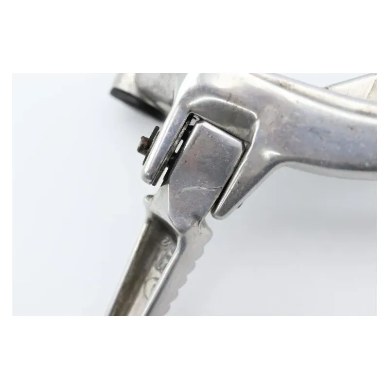 Platine arriere gauche HONDA CBR 1100 XX 1998 - 1998