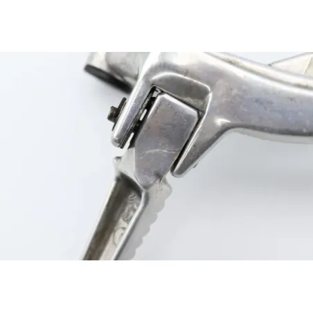 Platine arriere gauche HONDA CBR 1100 XX 1998 - 1998