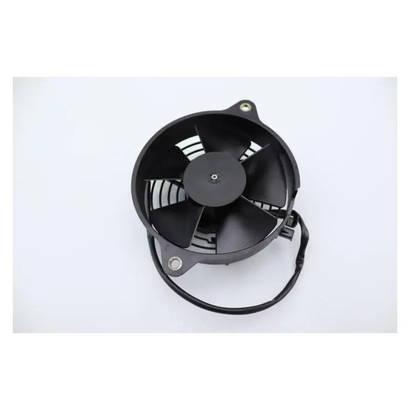 Ventilateur HONDA PES 125 2006 - 2010